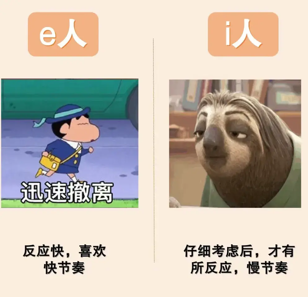 潘展乐回家乡，i人属性大爆发！i人和e人到底是什么意思？-潘展鸿律师事务所怎么样