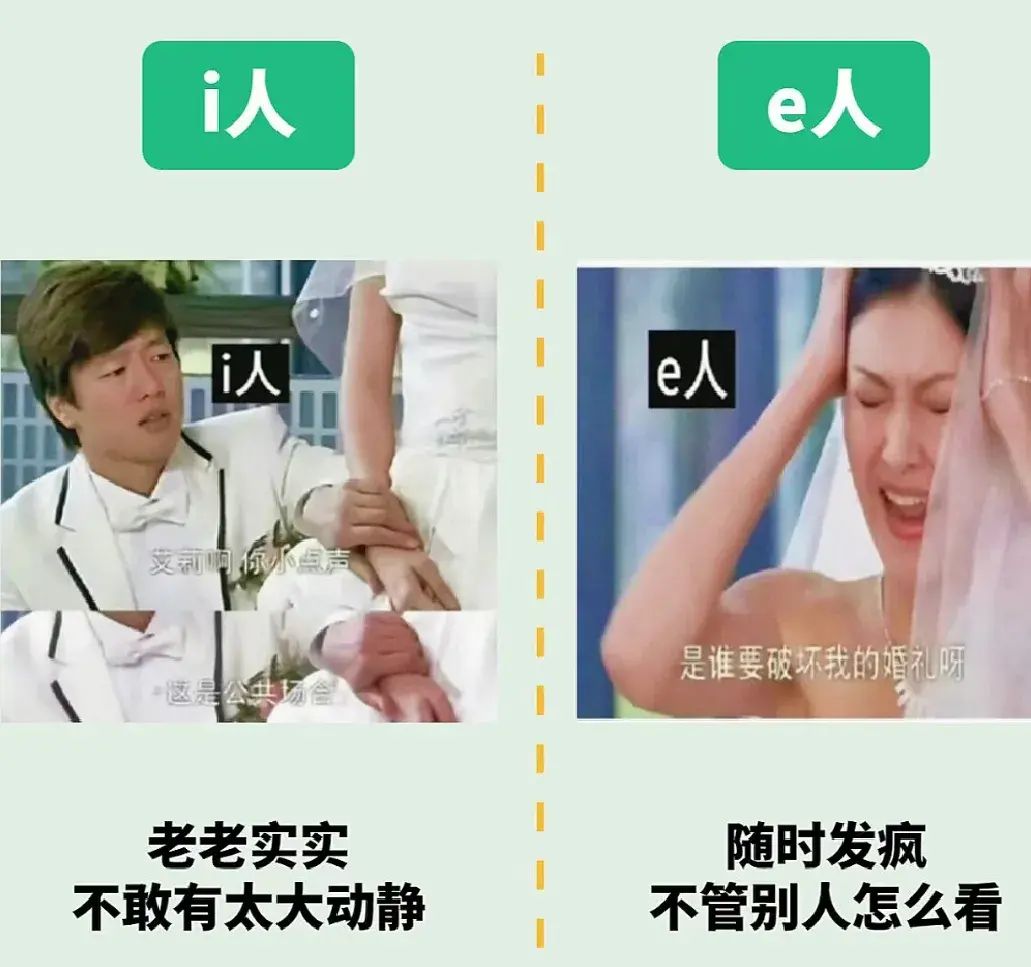 潘展乐回家乡，i人属性大爆发！i人和e人到底是什么意思？-潘展鸿律师事务所怎么样