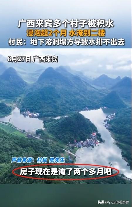 炸裂！救灾也招标？广西一村子被淹四个月，当地还在招标排涝-广西年年水灾