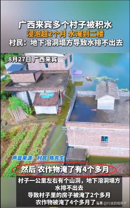 炸裂！救灾也招标？广西一村子被淹四个月，当地还在招标排涝-广西年年水灾