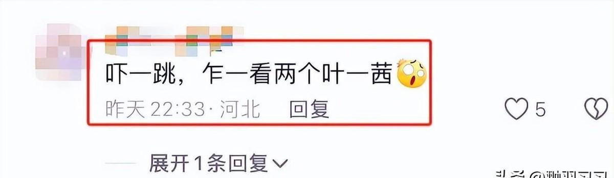 叶一茜母女现身巴黎，穿马面裙引老外围观，森碟身大头小下巴抢镜-叶一茜5到34岁