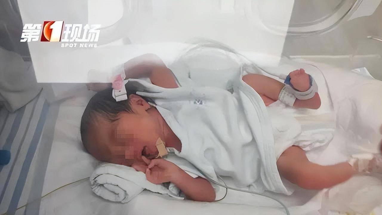 生2女后又产下4胞胎父亲发声求助，网友评论耐人寻味！深圳妇联也回应了-女子怀孕生下2男2女四胞胎