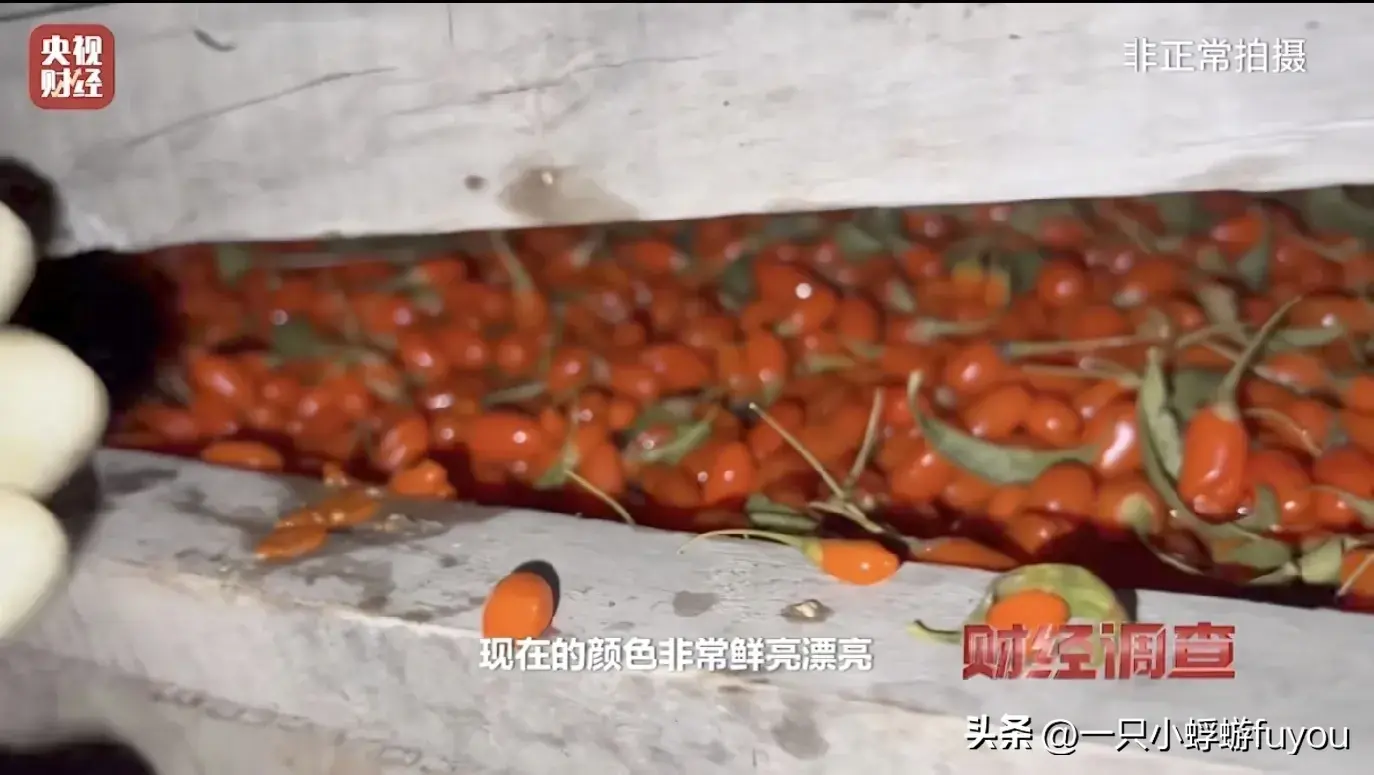 良心呢？央视曝光甘肃“硫超标”枸杞，加工画面曝光，评论区沦陷-怎样识别含硫的枸杞真假
