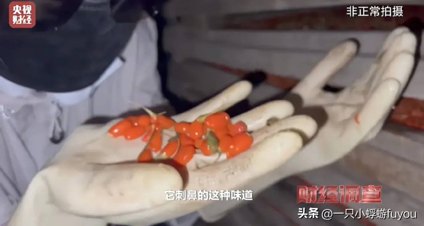 良心呢？央视曝光甘肃“硫超标”枸杞，加工画面曝光，评论区沦陷-怎样识别含硫的枸杞真假