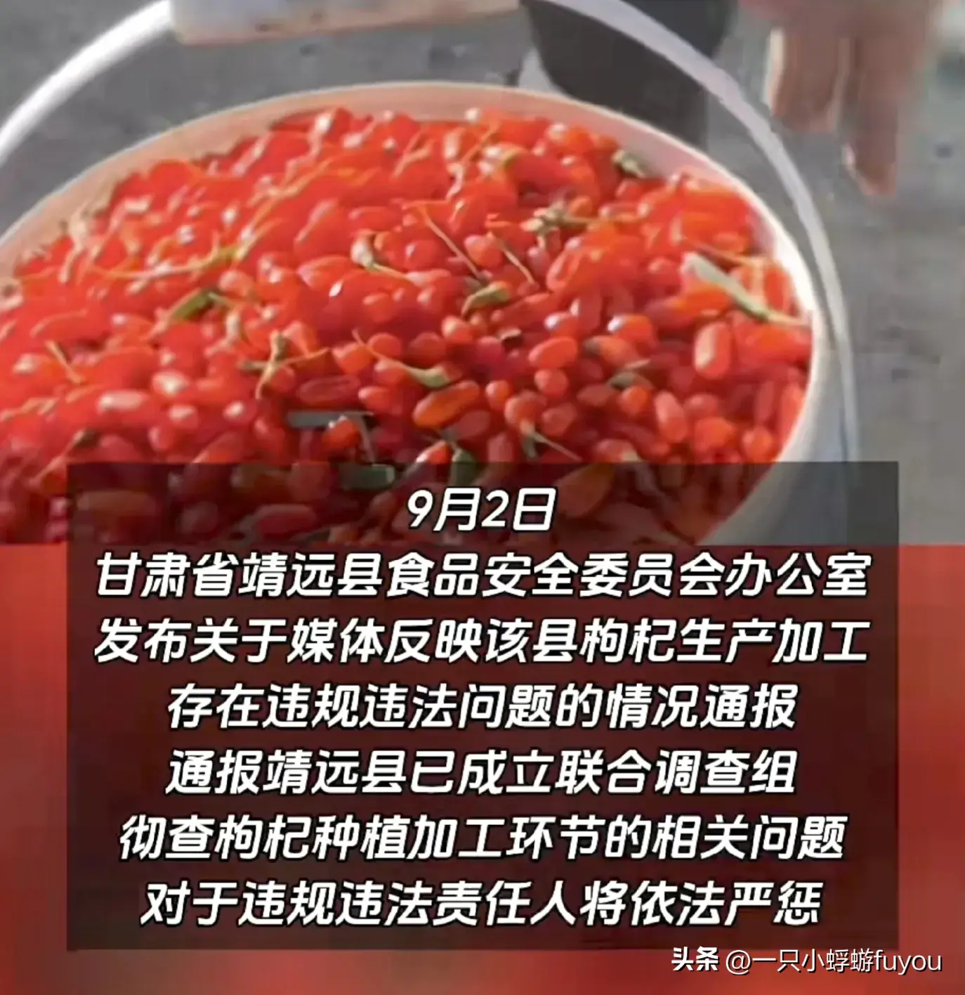 良心呢？央视曝光甘肃“硫超标”枸杞，加工画面曝光，评论区沦陷-怎样识别含硫的枸杞真假