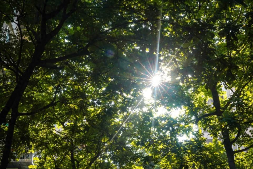 台风“摩羯”到来前，广州要先接受高温“烤”验-广州台风天气几月份到几月份