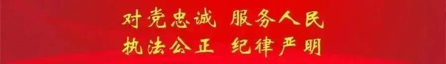 平安归途，您的“专属守护”来了!-平安归来图