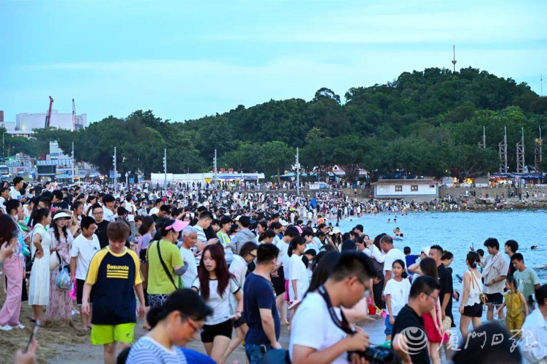 突然爆火！厦门“1元环海公交”→-厦门公交怎么算钱