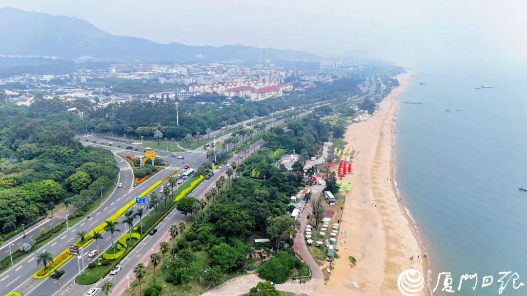 突然爆火！厦门“1元环海公交”→-厦门公交怎么算钱