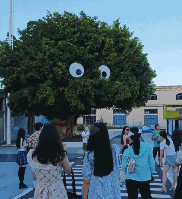 突然爆火！厦门“1元环海公交”→-厦门公交怎么算钱