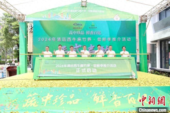 同比增长超55%！竹笋成广东农民增收“致富菜”-广东竹笋之乡