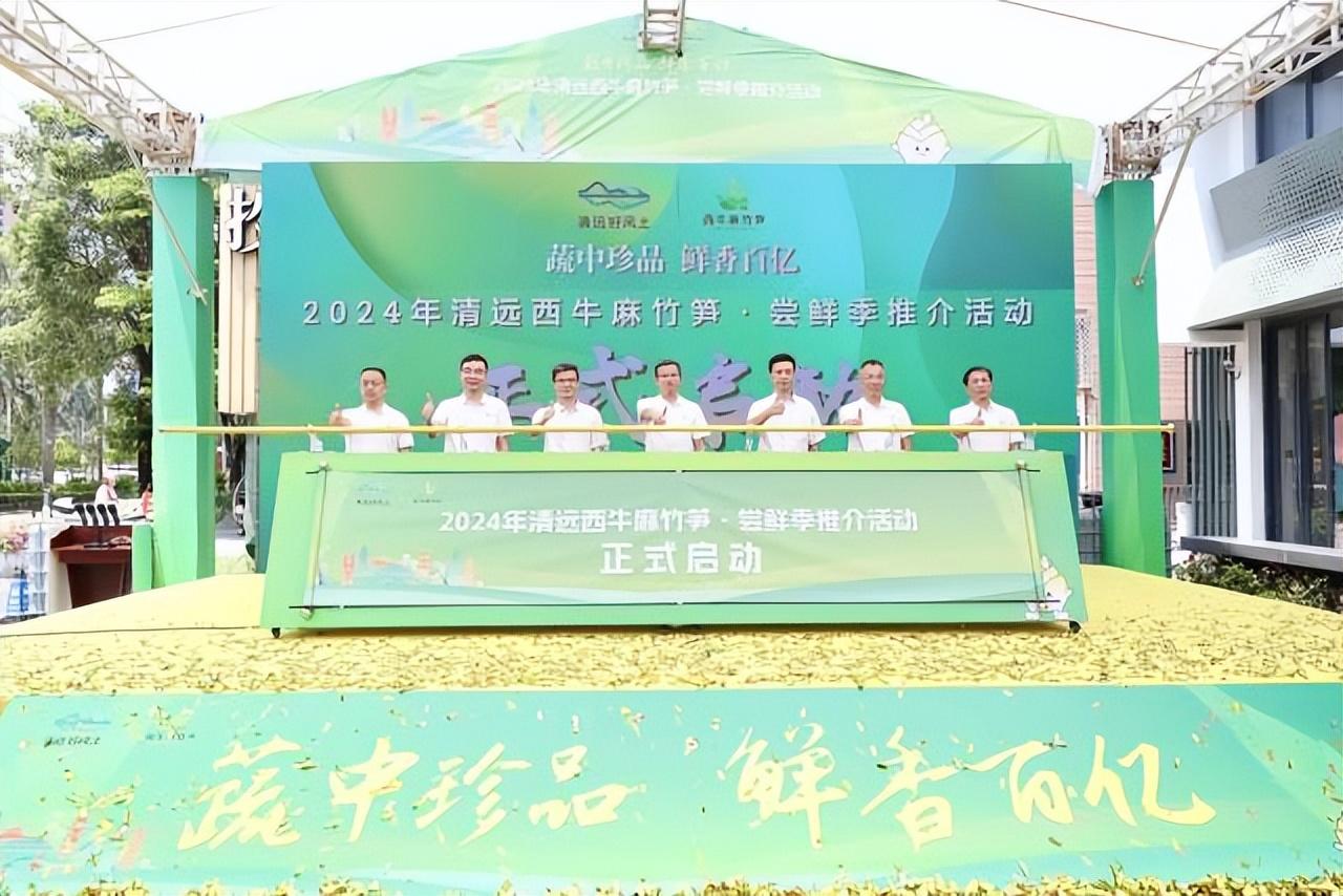 有“亿”种鲜，叫西牛麻竹笋！-西牛麻竹笋之乡