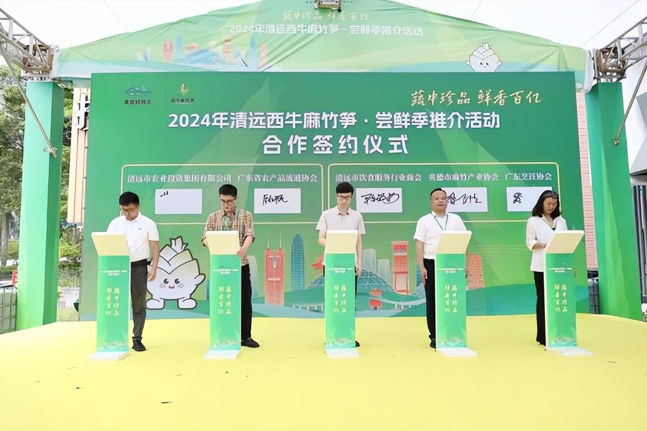 有“亿”种鲜，叫西牛麻竹笋！-西牛麻竹笋之乡