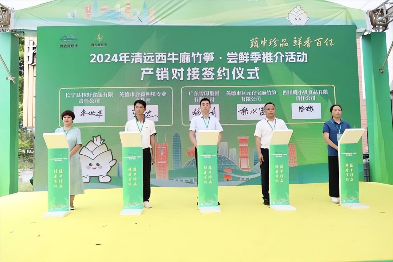 有“亿”种鲜，叫西牛麻竹笋！-西牛麻竹笋之乡