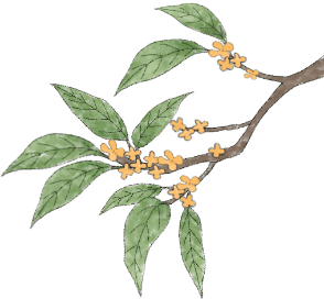 中秋 | 时节里的诗意-中秋时节的诗句都是什么