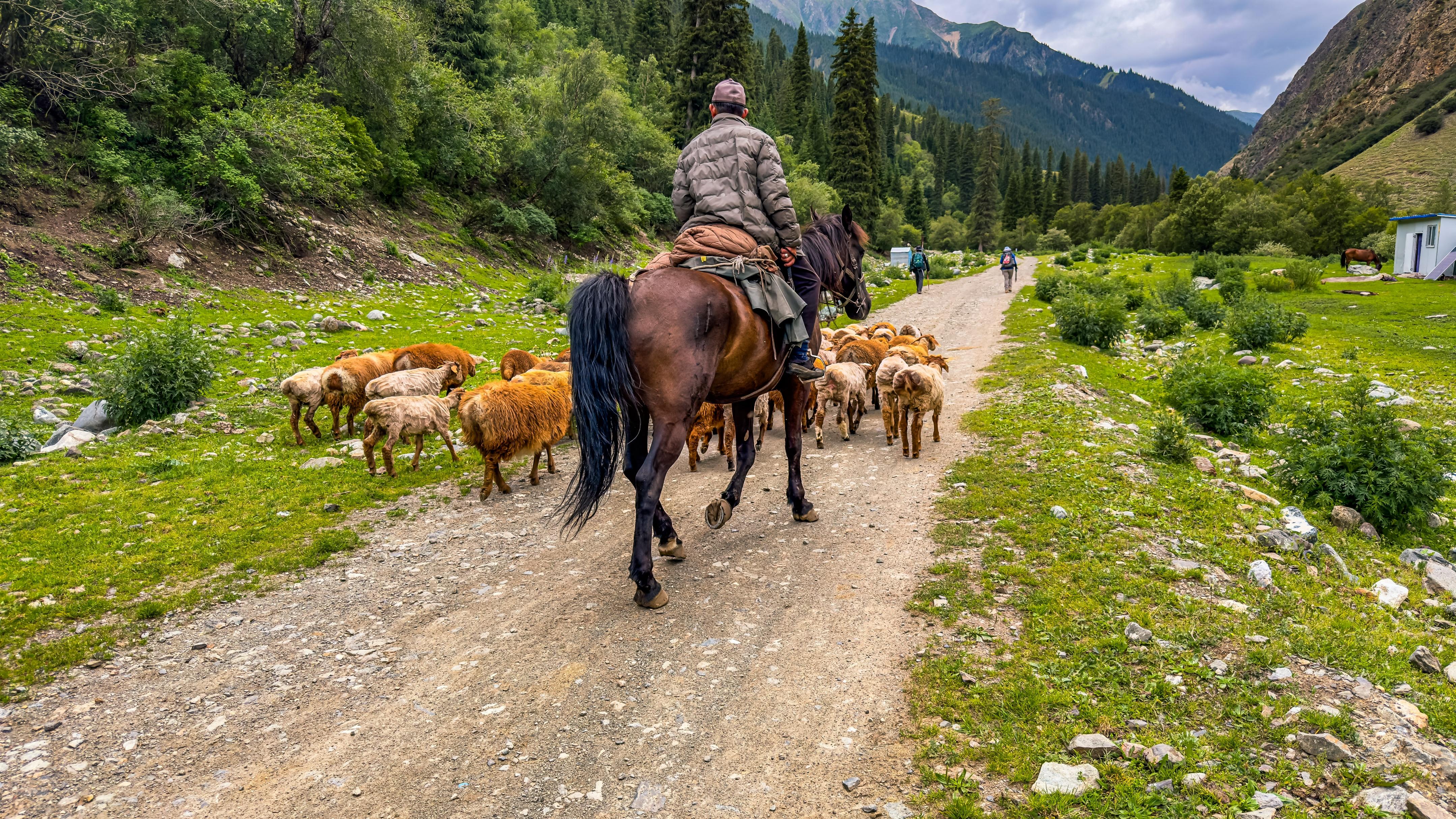 夏特大北线徒步日记--2024年7月15日-夏特峡谷简介