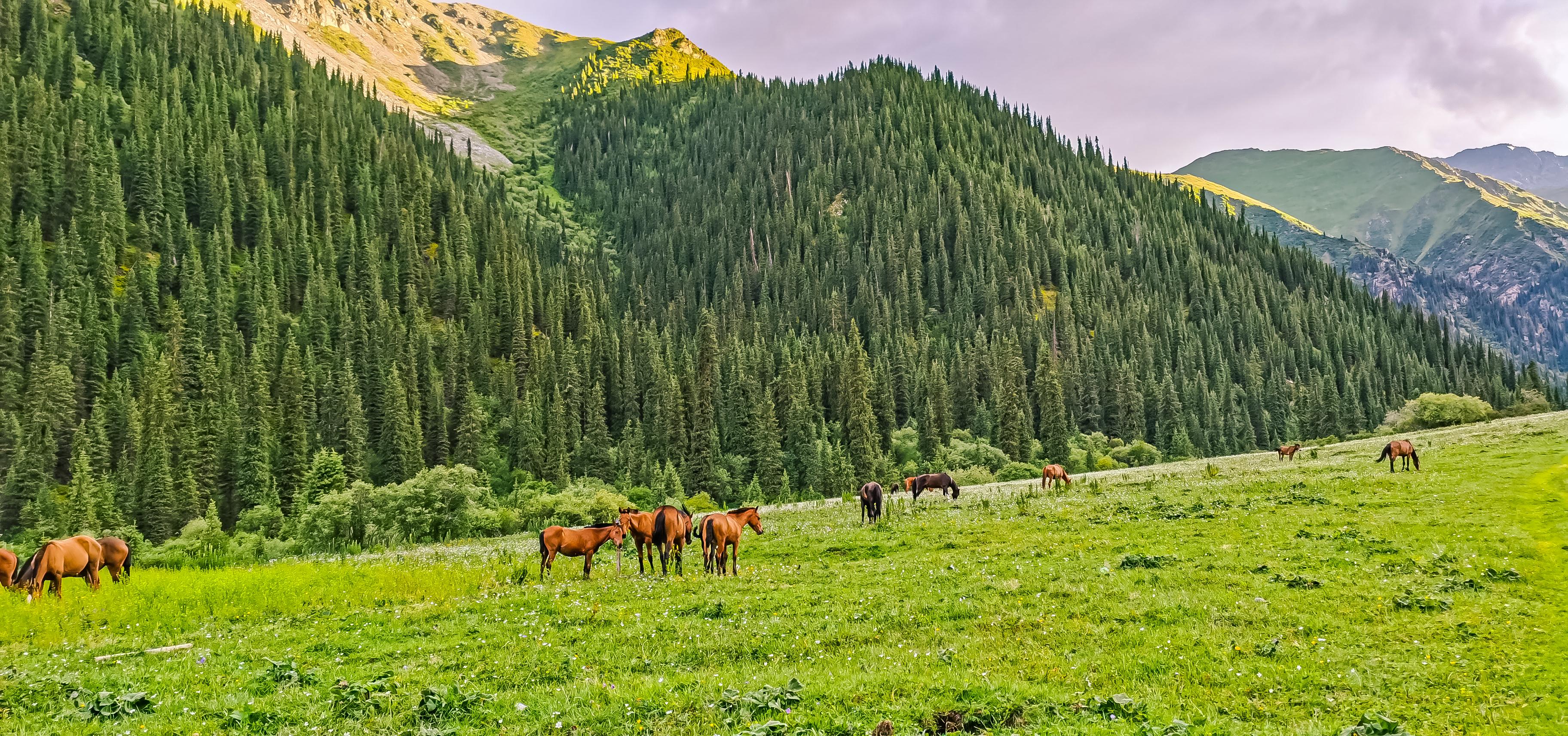 夏特大北线徒步日记--2024年7月15日-夏特峡谷简介