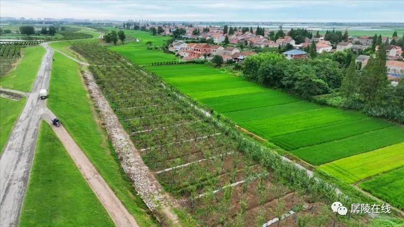 水乡美景，处处入画！这里是公安...-水乡美景的唯美句子