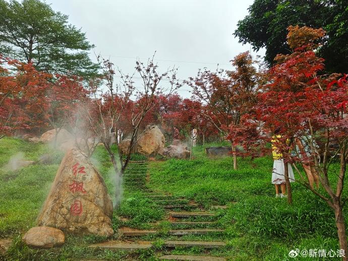 广东小伙伴，你的秋季体验卡将到期！明起重回30℃+｜温度记-体验卡领取