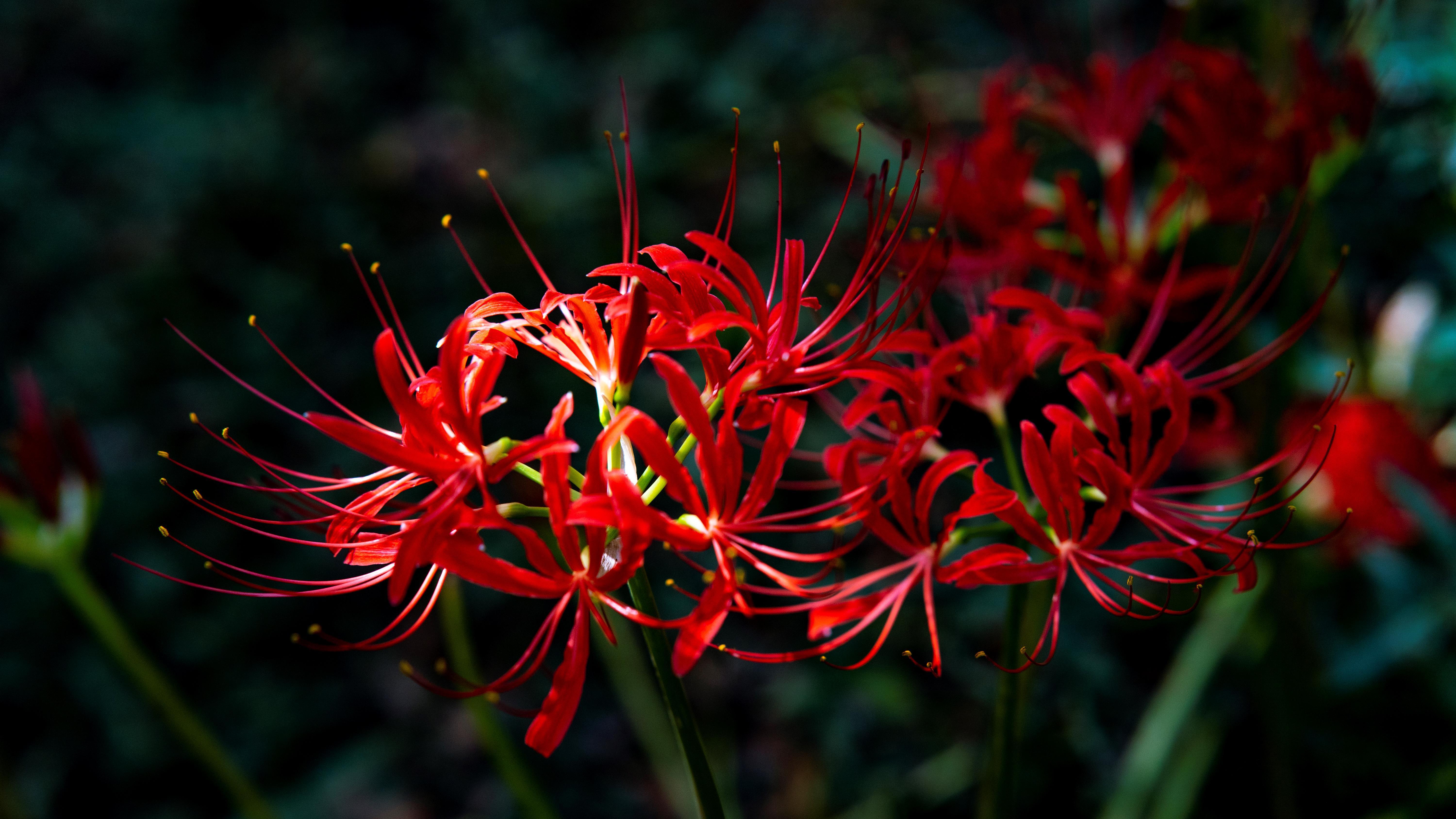 广东小伙伴，你的秋季体验卡将到期！明起重回30℃+｜温度记-体验卡领取