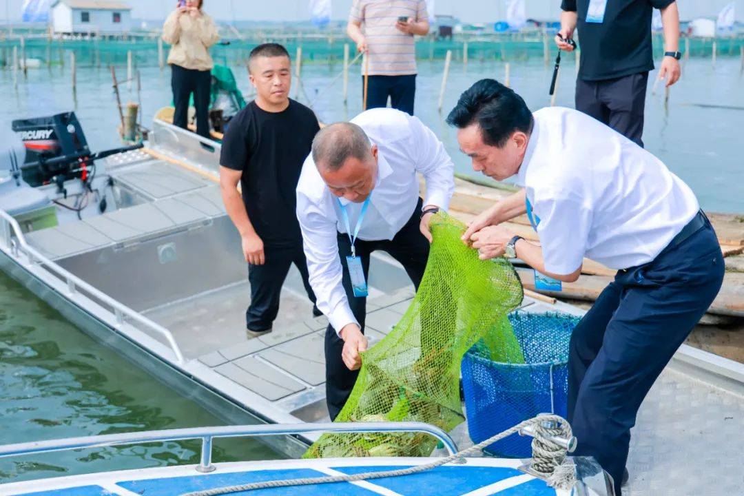 阳澄湖大闸蟹开捕啦！-阳澄湖大闸蟹开捕节2021