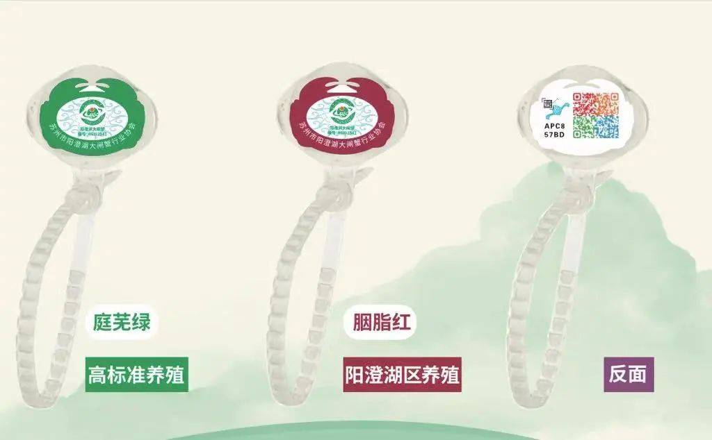 阳澄湖大闸蟹开捕啦！-阳澄湖大闸蟹开捕节2021