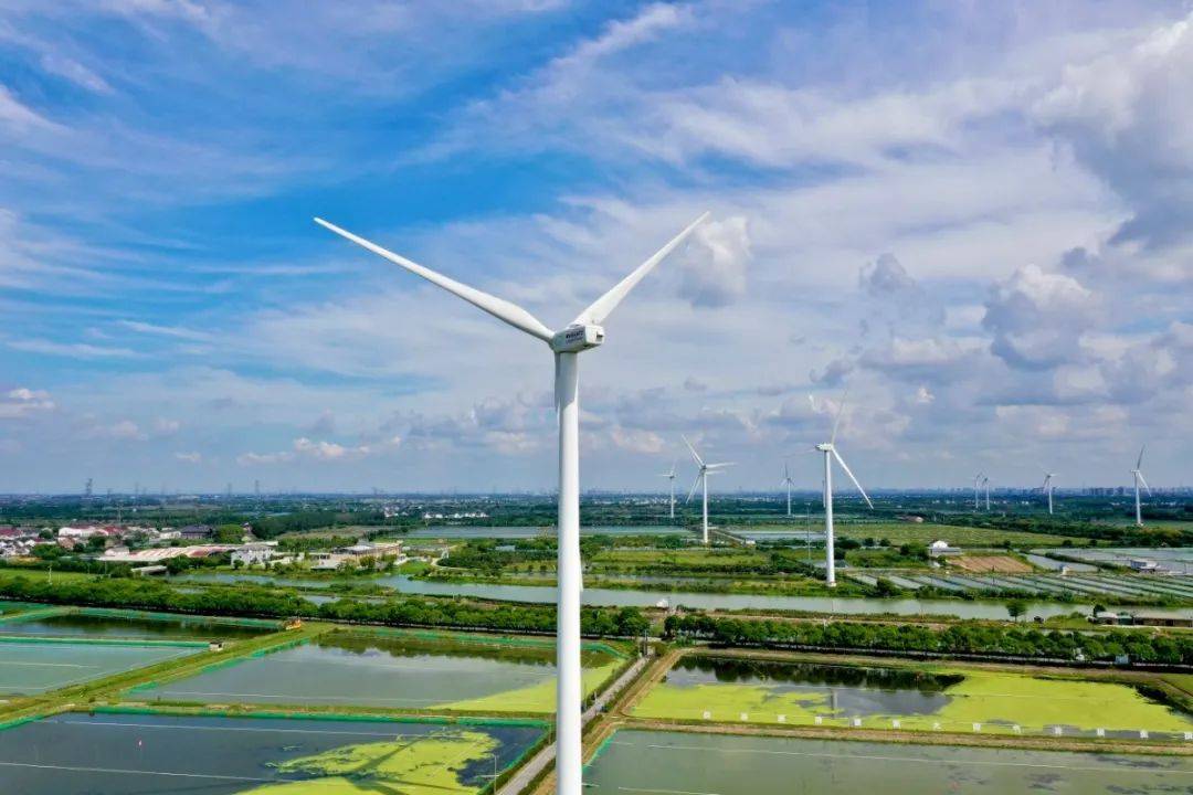 阳澄湖大闸蟹开捕啦！-阳澄湖大闸蟹开捕节2021