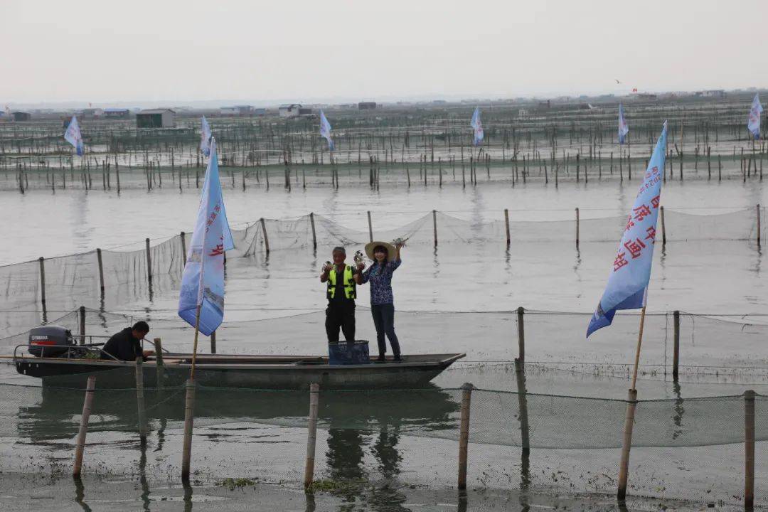 刚刚！阳澄湖大闸蟹开捕啦！产量...-阳澄湖大闸蟹2021年开捕时间