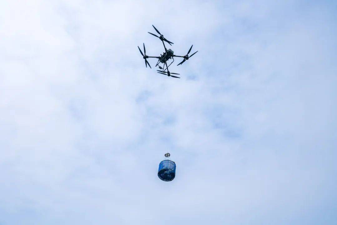 刚刚！阳澄湖大闸蟹开捕啦！产量...-阳澄湖大闸蟹2021年开捕时间