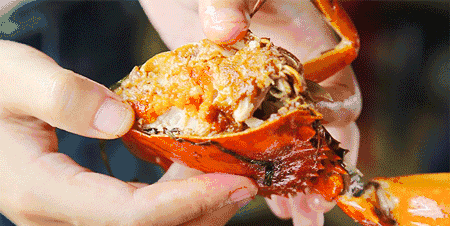 刚刚！阳澄湖大闸蟹开捕啦！产量...-阳澄湖大闸蟹2021年开捕时间