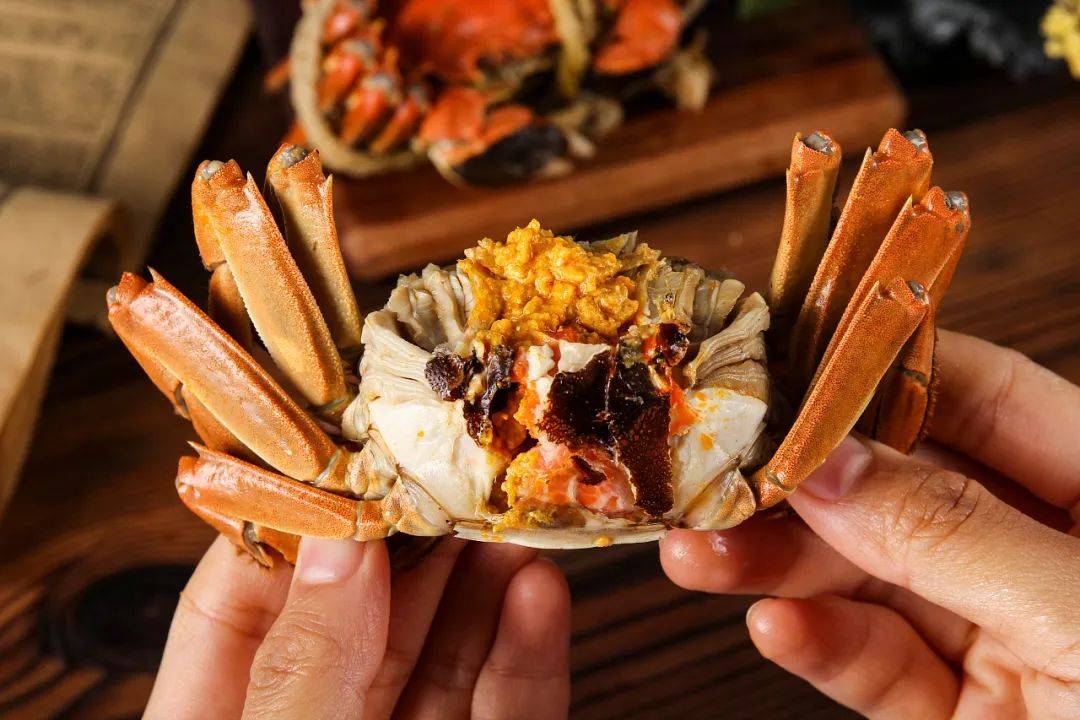 刚刚！阳澄湖大闸蟹开捕啦！产量...-阳澄湖大闸蟹2021年开捕时间