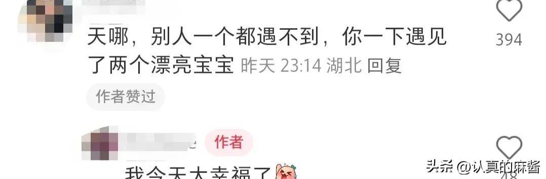 钟丽缇女儿考拉和Jaden被偶遇，姐妹俩好漂亮，身高有170左右-钟丽缇和考拉参加的综艺节目