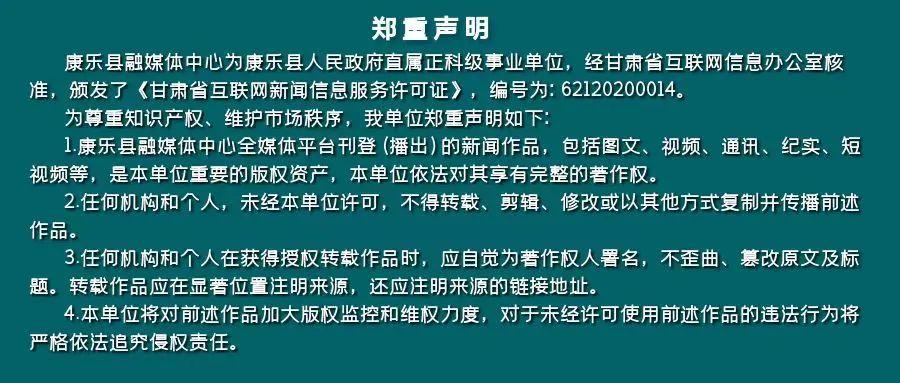 点赞！甘肃临夏州队荣获村BA球王争霸赛全国总决赛亚军-临夏足球