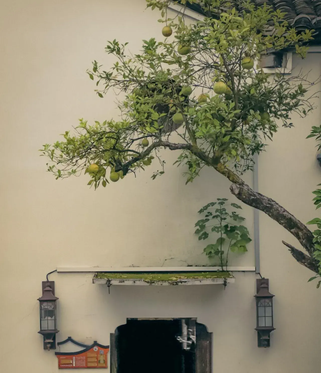 国庆假期已过半 结束文案已为你准备好了 快来选句喜欢的发朋友圈吧-国庆假期结束的朋友圈说说怎么发文案