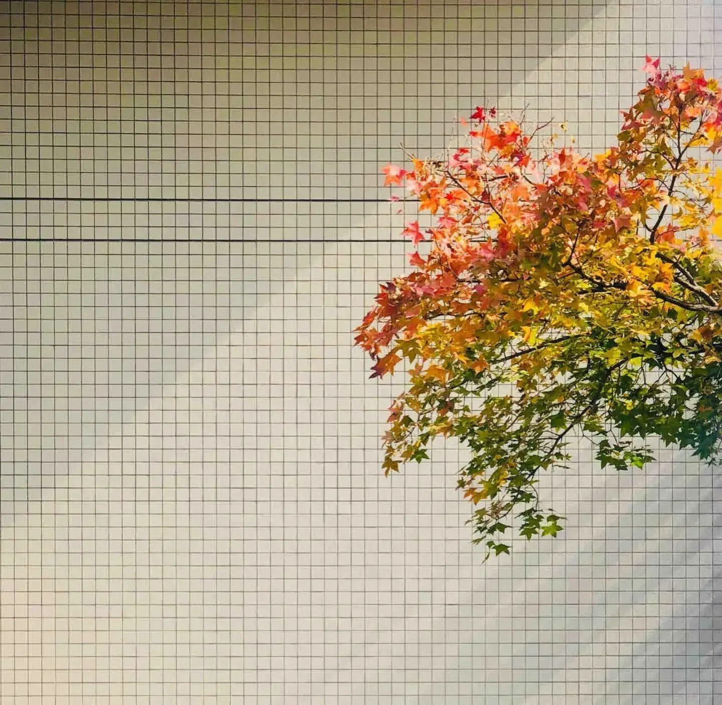 国庆假期已过半 结束文案已为你准备好了 快来选句喜欢的发朋友圈吧-国庆假期结束的朋友圈说说怎么发文案