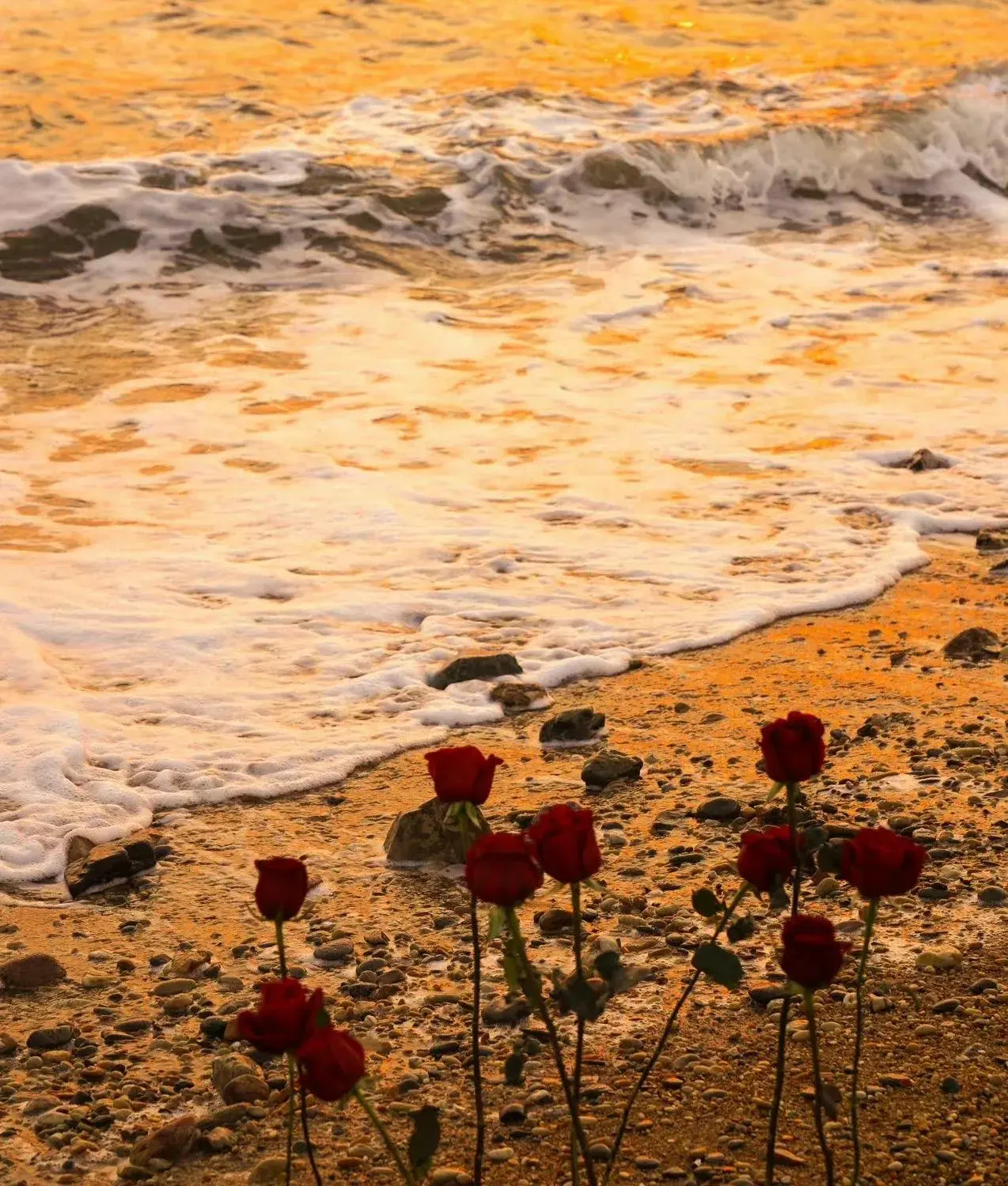 国庆假期已过半 结束文案已为你准备好了 快来选句喜欢的发朋友圈吧-国庆假期结束的朋友圈说说怎么发文案