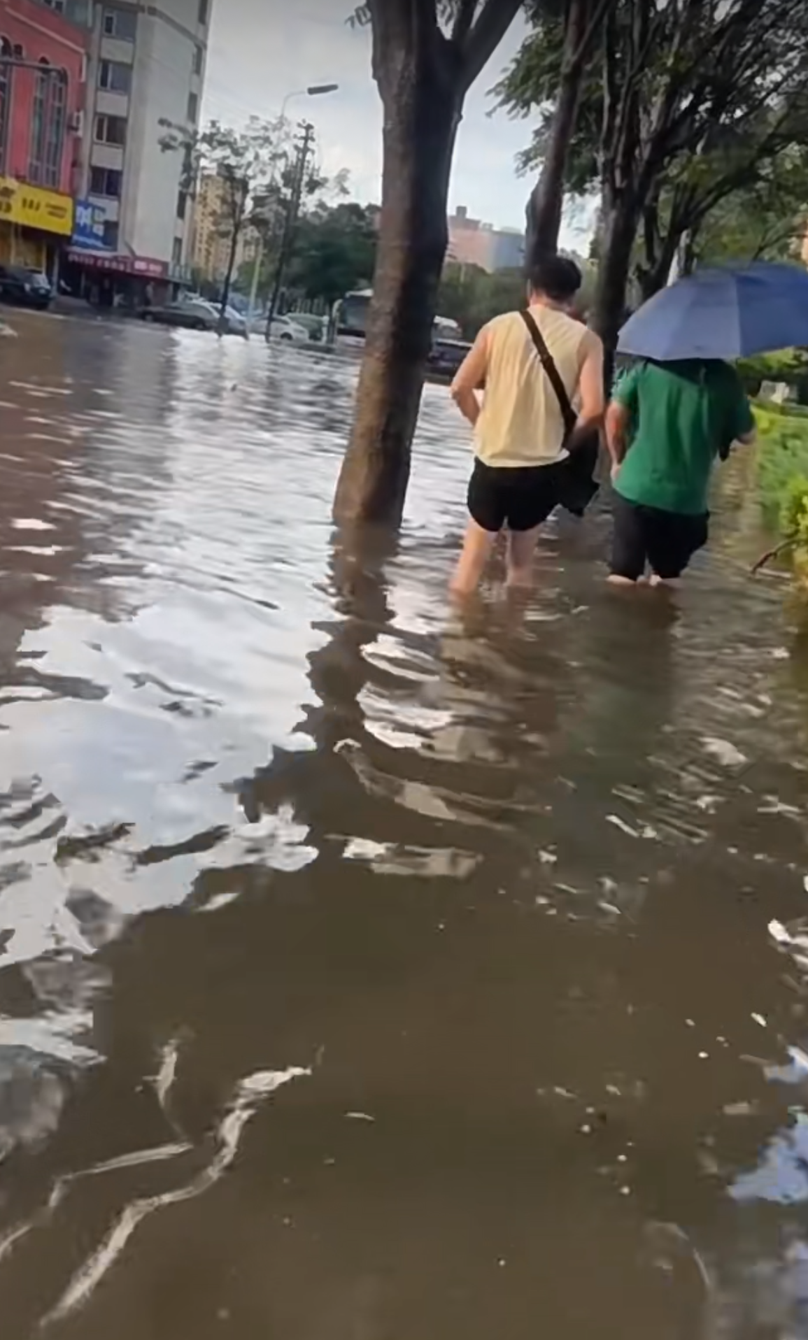 大连突降暴雨致2人意外死亡，市民：蹚水上班，积水深至大腿根，市政开挖掘机运人-大连暴雨视频