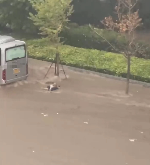 事发大连，暴雨中大水卷走父女，二人不幸遇难-大连水灾情况怎么样知乎