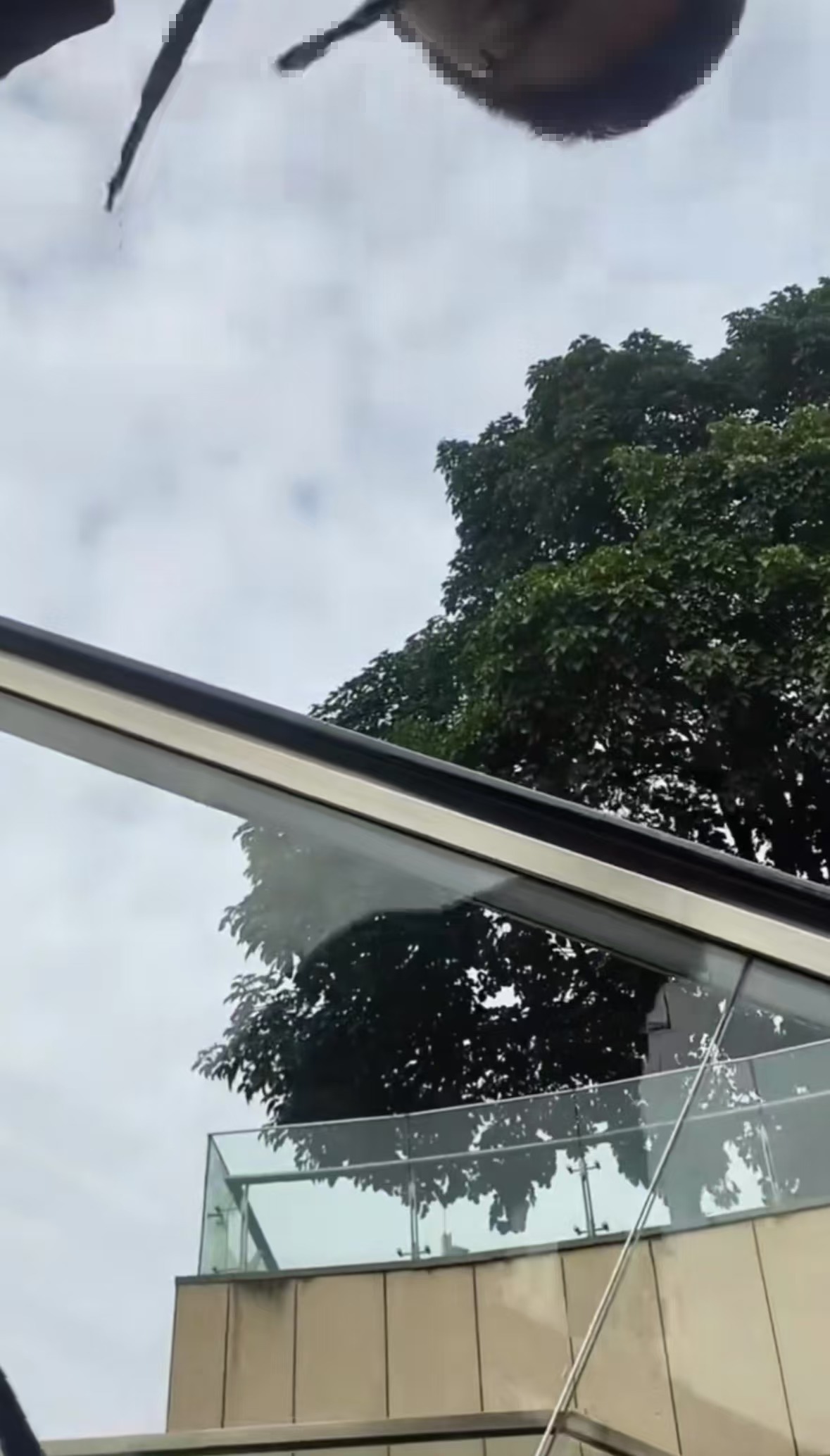 “立马停止对我的过激行为！”东莞一男生称阻止男子尾随偷拍女生裙底，被击打30多次-立即停止的成语