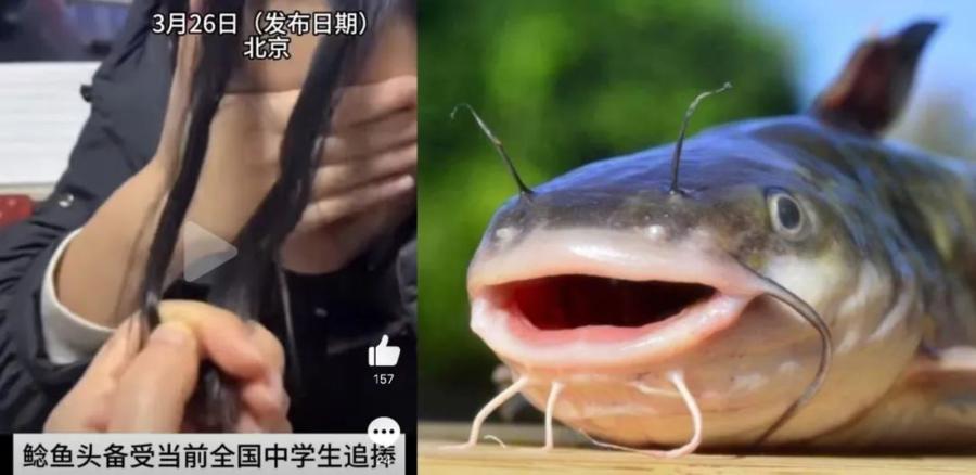 热闻|家长直呼看不懂！10后女生独爱“鲶鱼须”刘海，男生流行“微分碎盖”，你家有同款吗-鲶鱼须做菜的名字