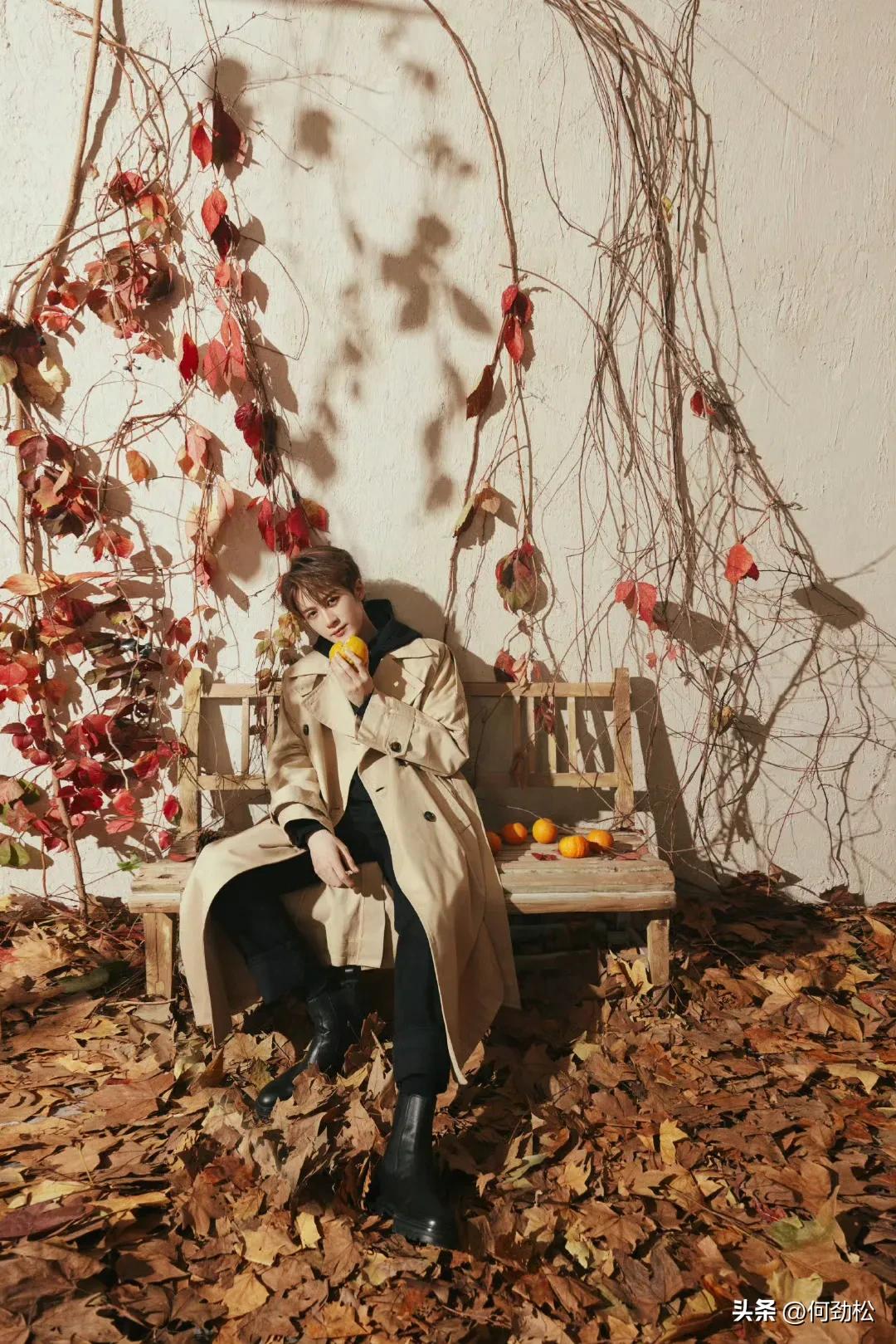 最帅男艺人再次洗牌，肖战李现登顶，杨洋第9于适4成毅3王一博第2-最帅的男明星 排名