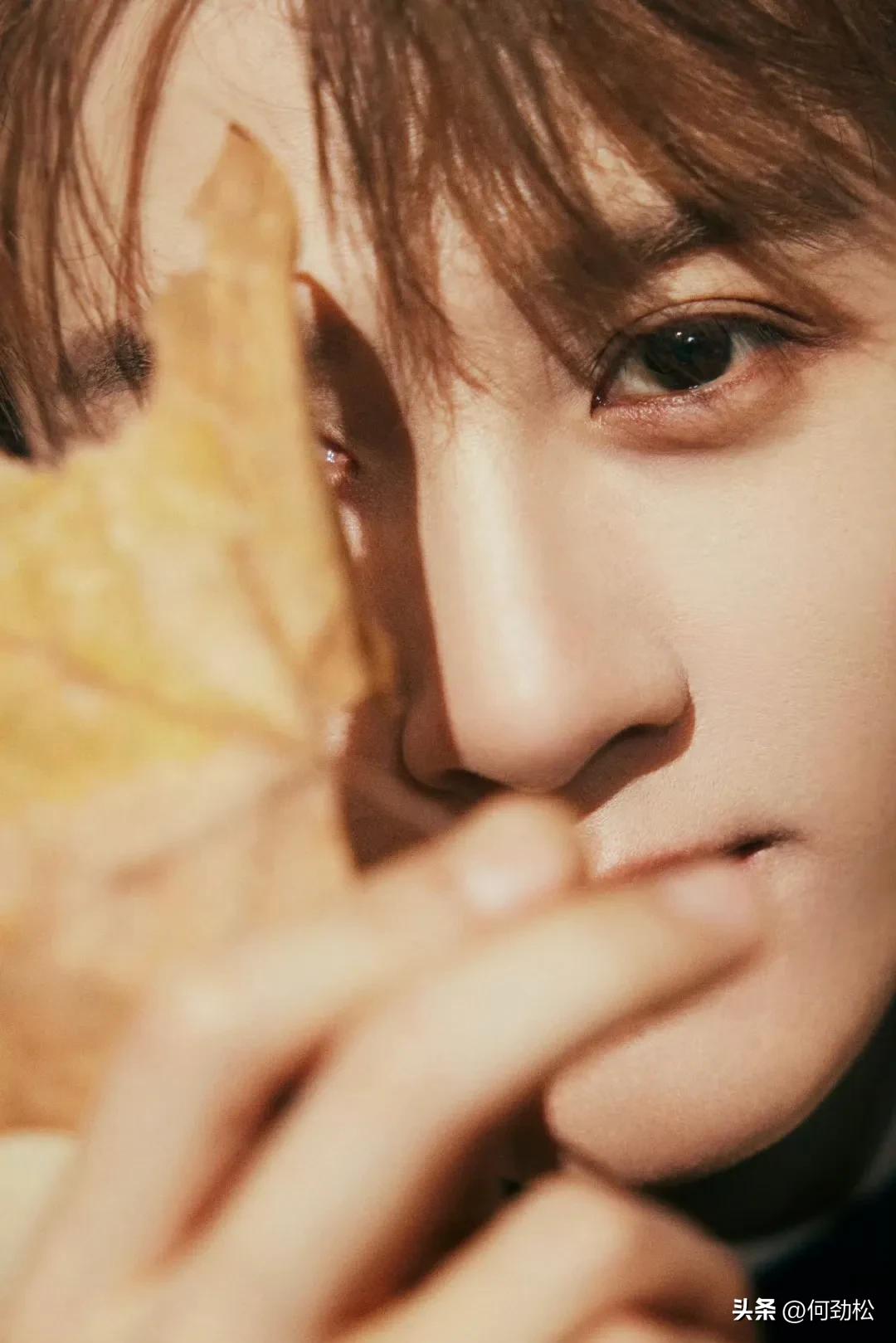 最帅男艺人再次洗牌，肖战李现登顶，杨洋第9于适4成毅3王一博第2-最帅的男明星 排名