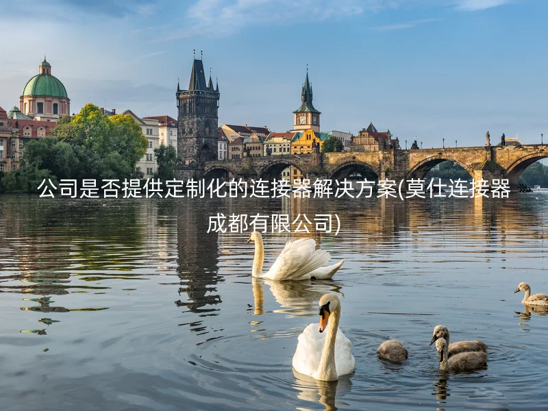 公司是否提供定制化的连接器解决方案(莫仕连接器成都有限公司)