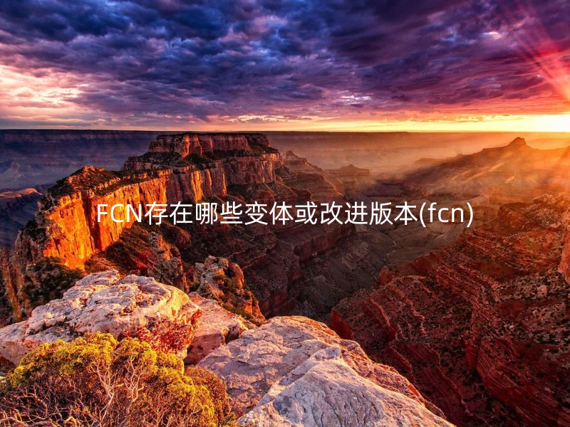 FCN存在哪些变体或改进版本(fcn)