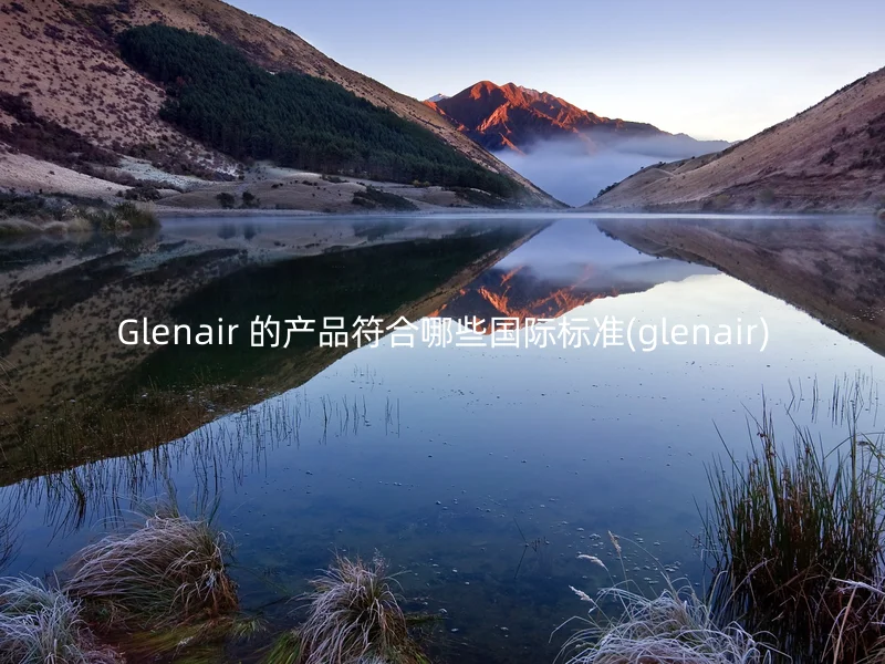 Glenair 的产品符合哪些国际标准(glenair)
