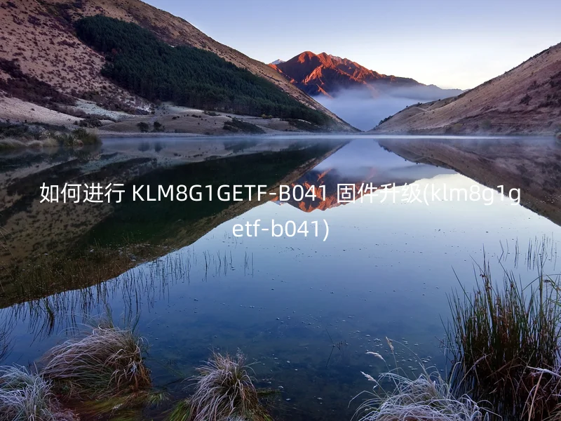 如何进行 KLM8G1GETF-B041 固件升级(klm8g1getf-b041)