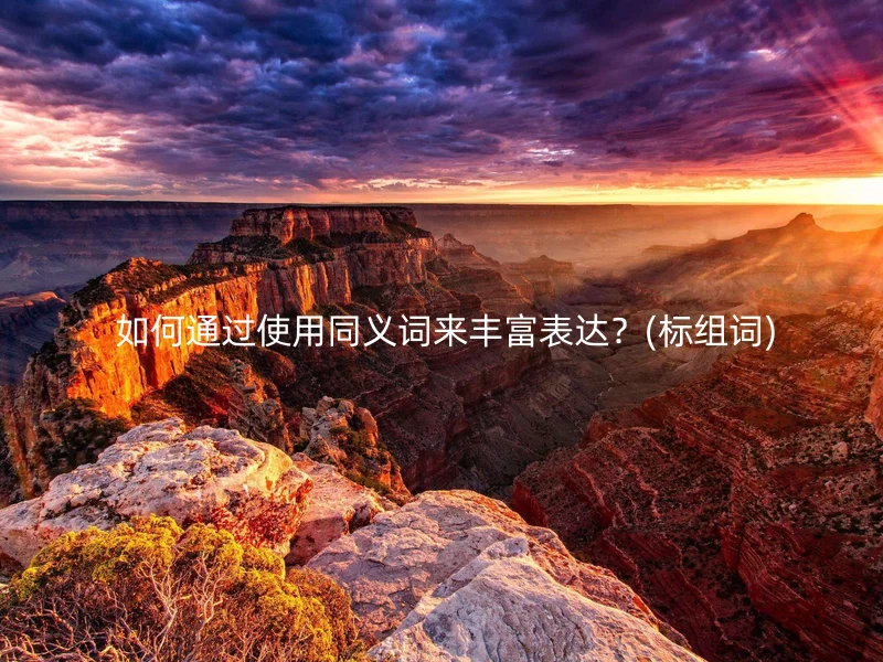  如何通过使用同义词来丰富表达？(标组词)