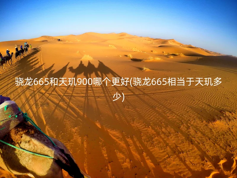 骁龙665和天玑900哪个更好(骁龙665相当于天玑多少)