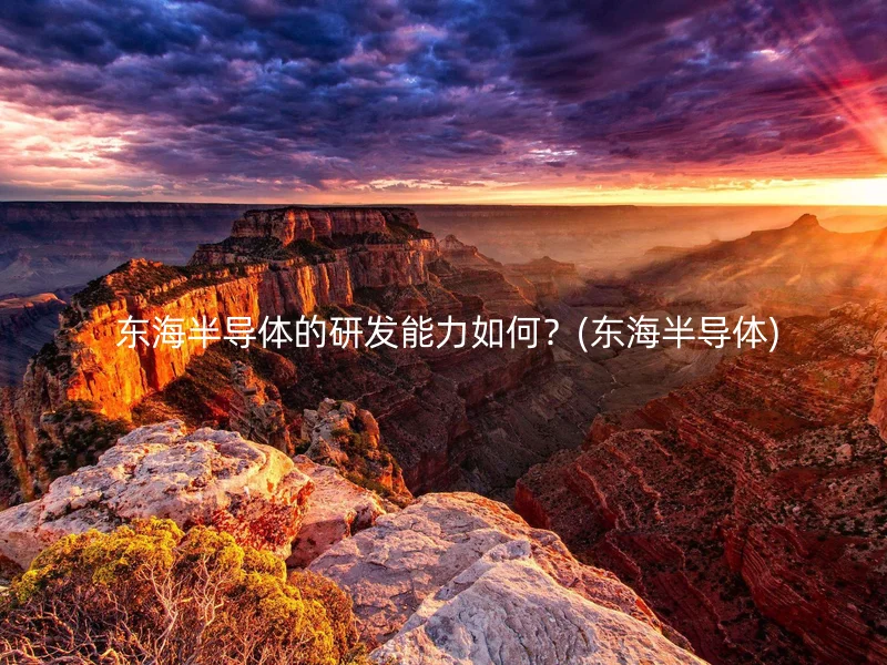  东海半导体的研发能力如何？(东海半导体)