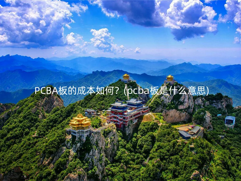  PCBA板的成本如何？(pcba板是什么意思)